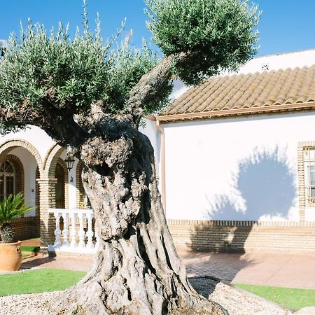 Maison d'hôtes Casa Luxury "El Olivo De Cordoba" Con Jacuzzi Y Parking Privado Extérieur photo