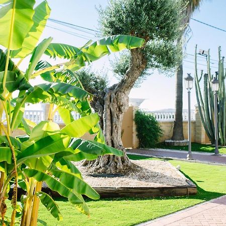 Maison d'hôtes Casa Luxury "El Olivo De Cordoba" Con Jacuzzi Y Parking Privado Extérieur photo