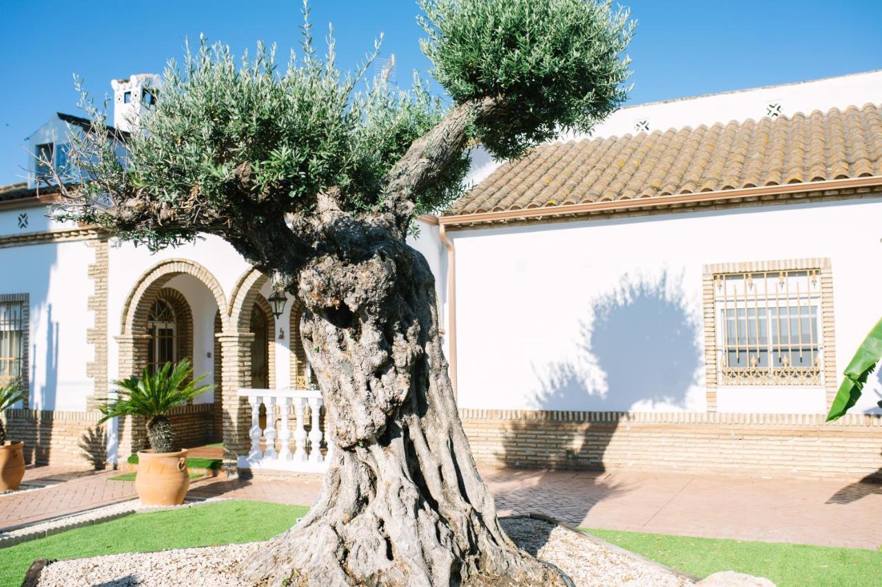 Maison d'hôtes Casa Luxury "El Olivo De Cordoba" Con Jacuzzi Y Parking Privado Extérieur photo