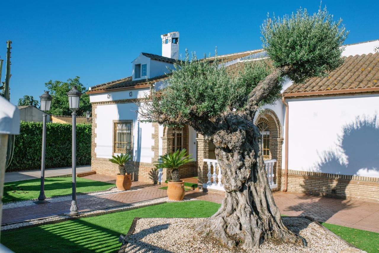 Maison d'hôtes Casa Luxury "El Olivo De Cordoba" Con Jacuzzi Y Parking Privado Extérieur photo